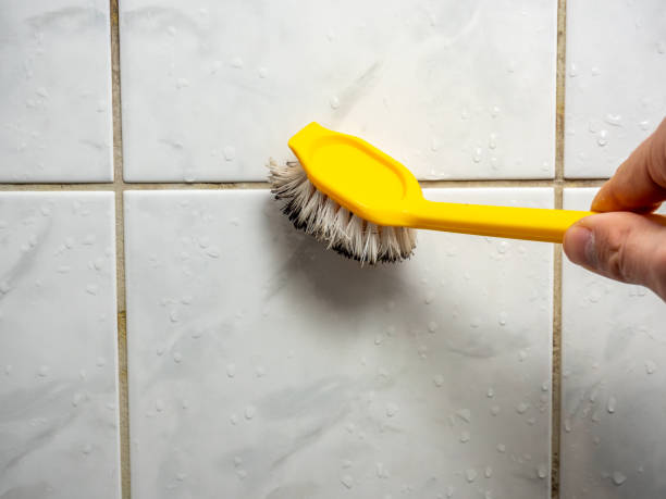 Best Best Mold Removal Companies  in Warson Woods, MO