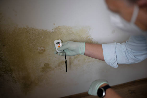 Best Crawl Space Mold Removal  in Warson Woods, MO