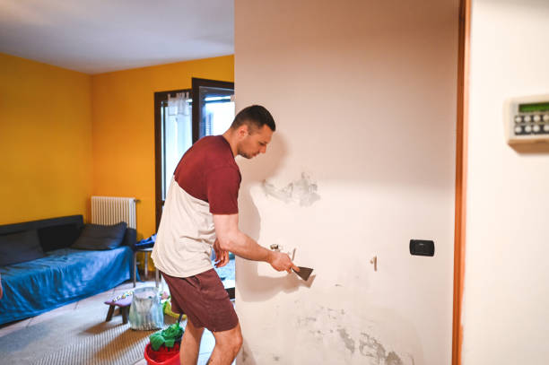 Best Home Mold Removal  in Warson Woods, MO